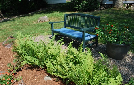 Country-Inn-Backyard-Garden